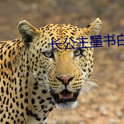 長公主墨書白