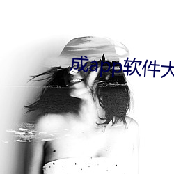 成app软件大全
