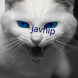 javhip