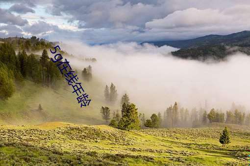 5g在线年龄(líng)
