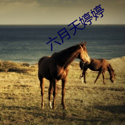 六月天婷(tíng)婷