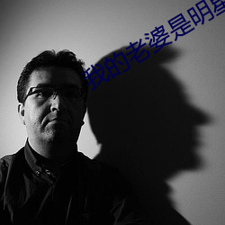 我的老婆是明星