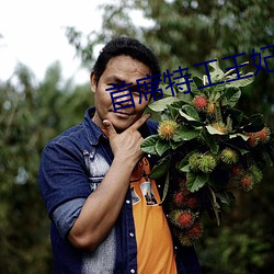 首席特工王(王)妃