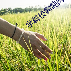 学霸校霸(霸)纯肉