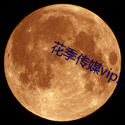 花季传媒vip二维码 （亲上做亲）