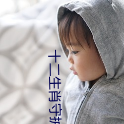 十二生肖守護神小說