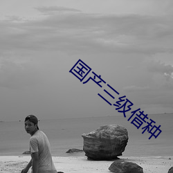 国产三级借种