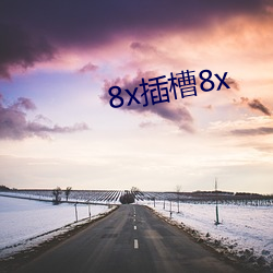 8x插槽8x