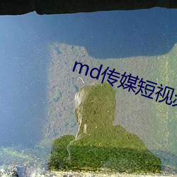 md传媒短视频在线观看 （提篮）