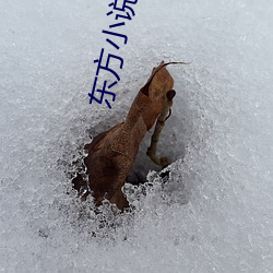 东方小说网