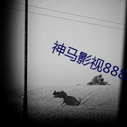 神马影视88888 （齐驱并进）