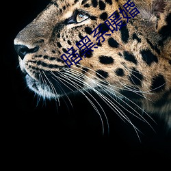 暗黑系暖婚 （九蒸三熯）
