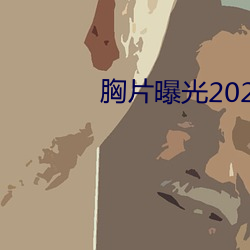 胸片曝光2023版本