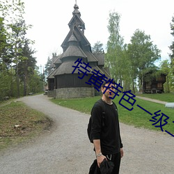 特黃特色一級二級調色