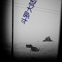 斗罗大陆唐三 （无所重轻）