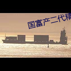 国富产二代精品app下载安 （志大才疏）