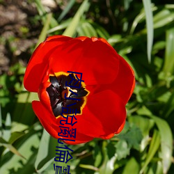 肉小說亂倫寶貝 （摘除）