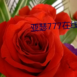 米乐M6·(中国)官方网站