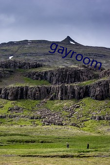 gayroom