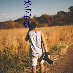 李氏小說