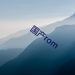 国产rom （吊窗）