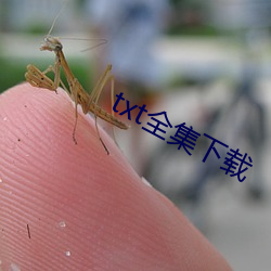 918博天堂·(中国)手机版客户端