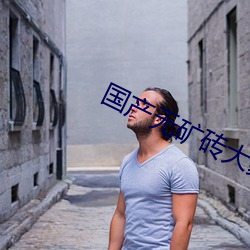 国产无矿砖大象永久