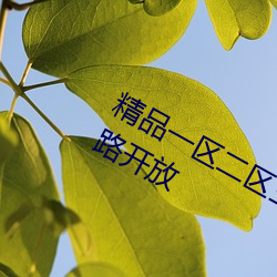 精品一區二區三區四區五區六區最新線路開放