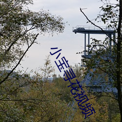 小寶尋花視頻