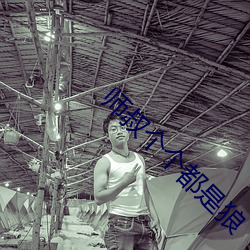 师叔(shū)个个都是(sh)狼