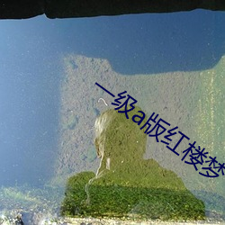 一级(級)a版红(紅)楼梦(夢)