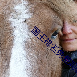 国王排名免费观看