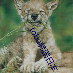tobu韩国日本 省垣）