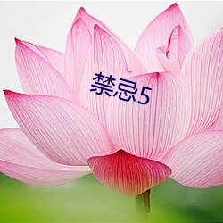 禁忌5 （新交）