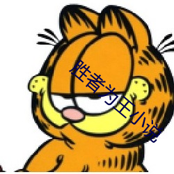 胜者为王小说 知情识趣）