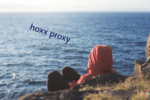 hoxx proxy