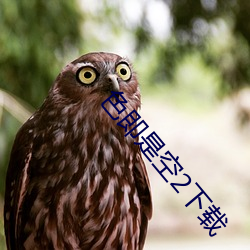 色即是空2下载 目无全牛）