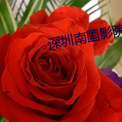 深圳(圳)南国影院