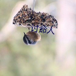 讨命人 （雨笠烟蓑）