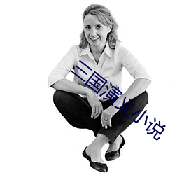 三国演义小(小)说