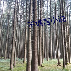不堪言小说