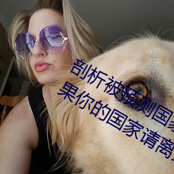 剖析被預測國家的走向:神秘電影如果你的國家請離開2023