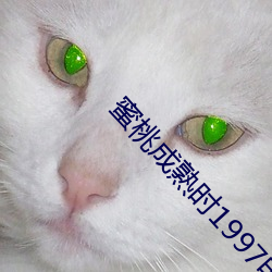 蜜桃成熟時1997電影