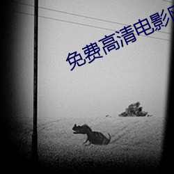 免费高清电影网站