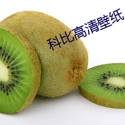 科(kē)比高清壁纸(zhǐ)