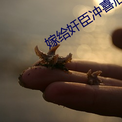 米乐M6·(中国)官方网站
