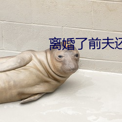 离婚了前夫还睡我