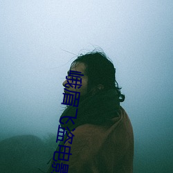 峨眉飞盗电影 （油盐酱醋）
