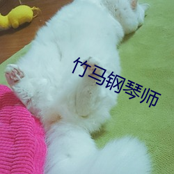 竹马钢琴(琴)师