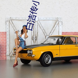 白洁传小说